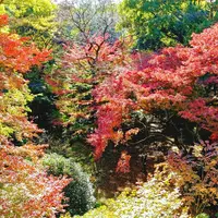 等々力不動尊の写真・動画_image_169882