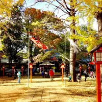 等々力不動尊の写真・動画_image_169884