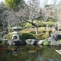 長谷寺の写真・動画_image_1699