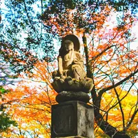 浄真寺の写真・動画_image_171042