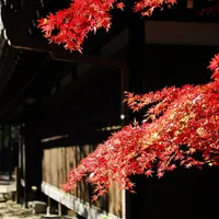 世田谷山観音寺の写真・動画_image_171052
