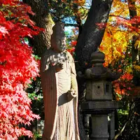 世田谷山観音寺の写真・動画_image_171053