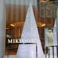 株式会社ミキモト 本店の写真・動画_image_173294