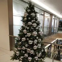 ギンザ シックス（GINZA SIX）の写真・動画_image_173295