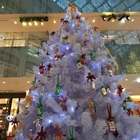 KITTEの写真・動画_image_173304