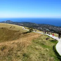 大室山の写真・動画_image_173370