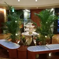 風のテラスくくなの写真・動画_image_175388