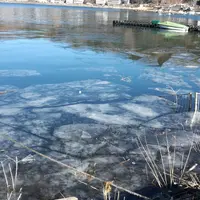 河口湖の写真・動画_image_175405