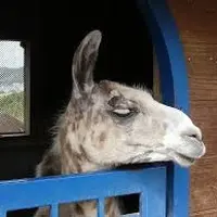 ワールド牧場の写真・動画_image_1762