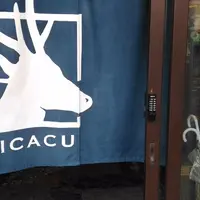 旅館cicacuの写真・動画_image_176399