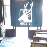 旅館cicacuの写真・動画_image_176400