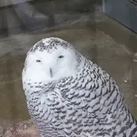 井の頭自然文化園 本園の写真・動画_image_176430