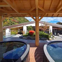 天成園の写真・動画_image_181607