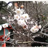 荏柄天神社の写真・動画_image_183188