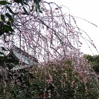 宝戒寺の写真・動画_image_183189