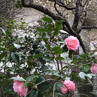 宝戒寺の写真・動画_image_183190