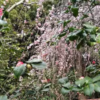 宝戒寺の写真・動画_image_183191