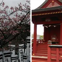 鶴岡八幡宮の写真・動画_image_183193