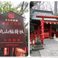 鶴岡八幡宮の写真・動画_image_183195
