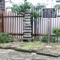 漱石公園の写真・動画_image_1850