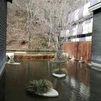 星野温泉　トンボの湯の写真・動画_image_185971