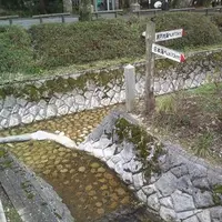 水分れ公園の写真・動画_image_1878