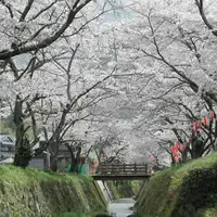 水分れ公園の写真・動画_image_1879