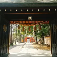 葛飾八幡宮の写真・動画_image_188484