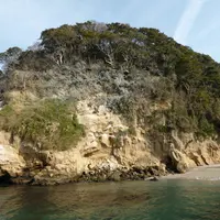 猿島の写真・動画_image_18855