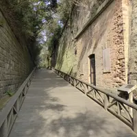 猿島の写真・動画_image_18857