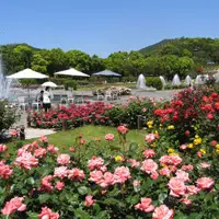 神戸市立須磨離宮公園の写真・動画_image_1889