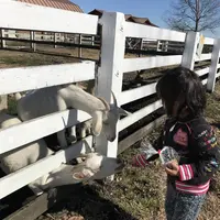うぶやま牧場の写真・動画_image_190069