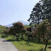 まかいの牧場の写真・動画_image_191976