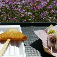 富士芝桜まつりの写真・動画_image_191988