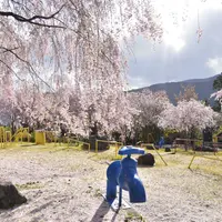 智者の丘公園の写真・動画_image_193434