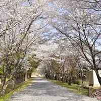 青部駅の写真・動画_image_193441