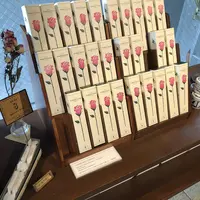 NUMBER SUGARの写真・動画_image_203475