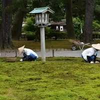 兼六園の写真・動画_image_204206