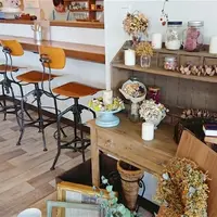nuitの写真・動画_image_205043