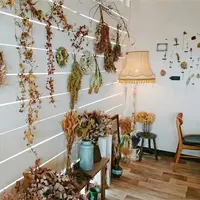 nuitの写真・動画_image_205044