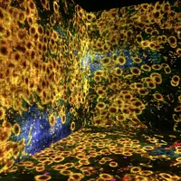 【閉業】森ビルデジタルアートミュージアム：エプソン チームラボボーダレス（MORI Building Digital Art Museum: EPSON teamLab Borderless）の写真・動画_image_205056