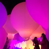 【閉業】森ビルデジタルアートミュージアム：エプソン チームラボボーダレス（MORI Building Digital Art Museum: EPSON teamLab Borderless）の写真・動画_image_205089