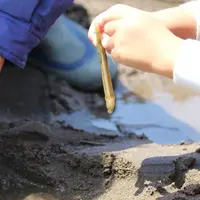 真玉海岸の写真・動画_image_205294