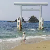 桜井二見ケ浦の写真・動画_image_205844