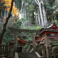 石清水八幡宮の写真・動画_image_2065