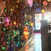 チャンドニー華麗ばぁーの写真・動画_image_206852