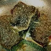 たぬ吉 麻布十番店の写真・動画_image_2069