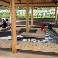 すばしりの写真・動画_image_2090
