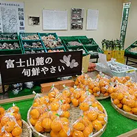 すばしりの写真・動画_image_2091