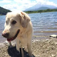 すばしりの写真・動画_image_2098